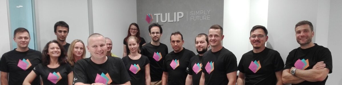 TULIP_Solutions